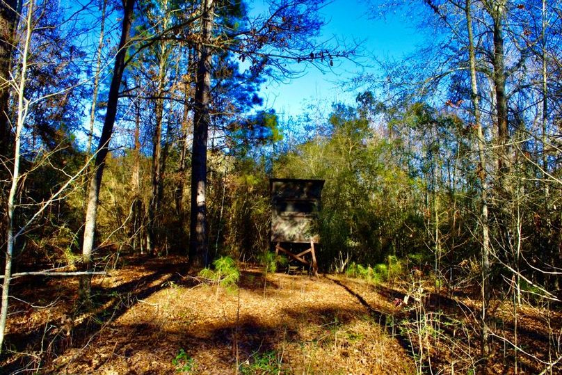 5CF4ABC2-FEBD-409F-9924-D4BC1AC2C8DB_1_201_a-2