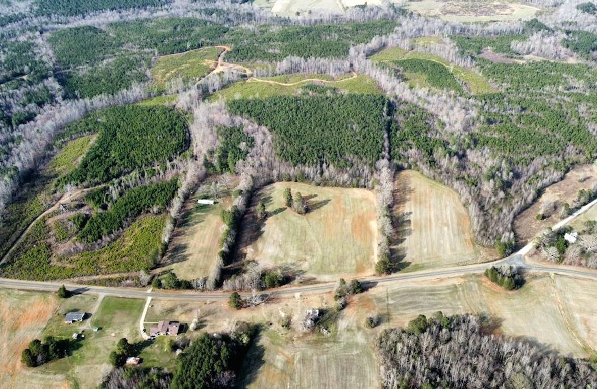 dji_fly_20250319_165218_449_1742417569061_photo_optimized