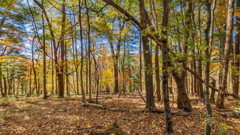 60-zj 18384 Crawmer Rd Se,113-2