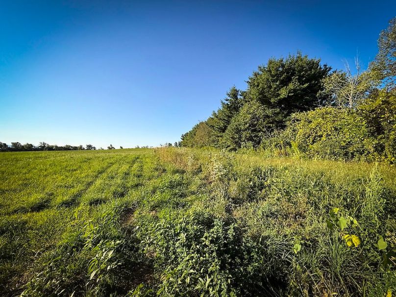 Copy of Wood Tract 5 Photo 9