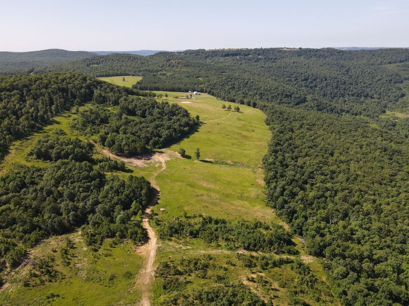 DJI_0702