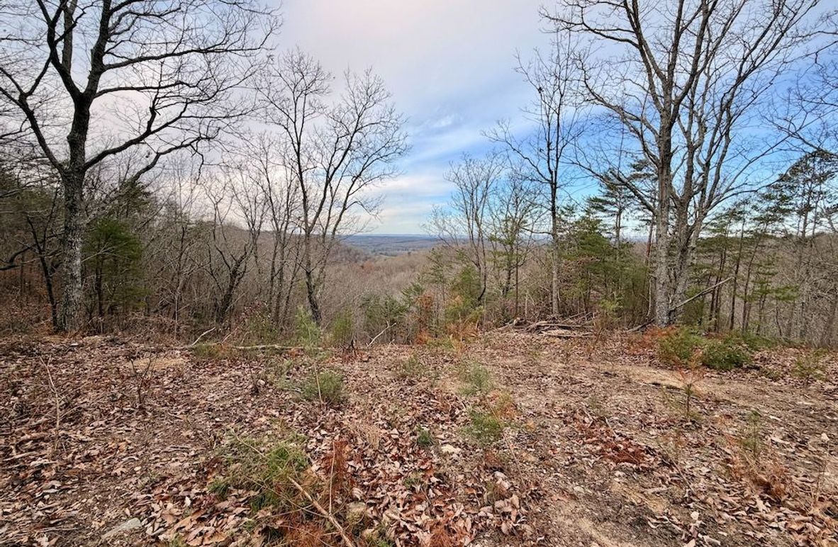 Roane Co TN 396 20251127_02