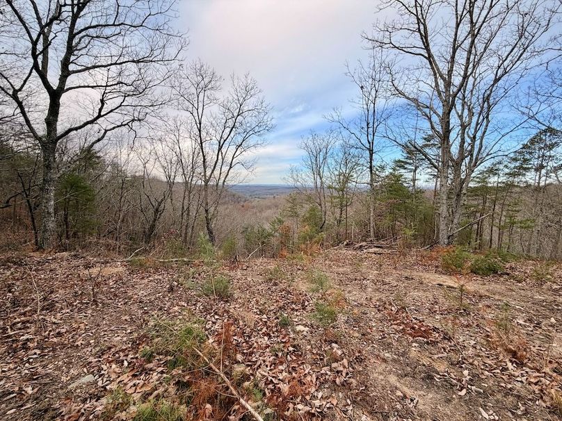 Roane Co TN 396 20251127_02