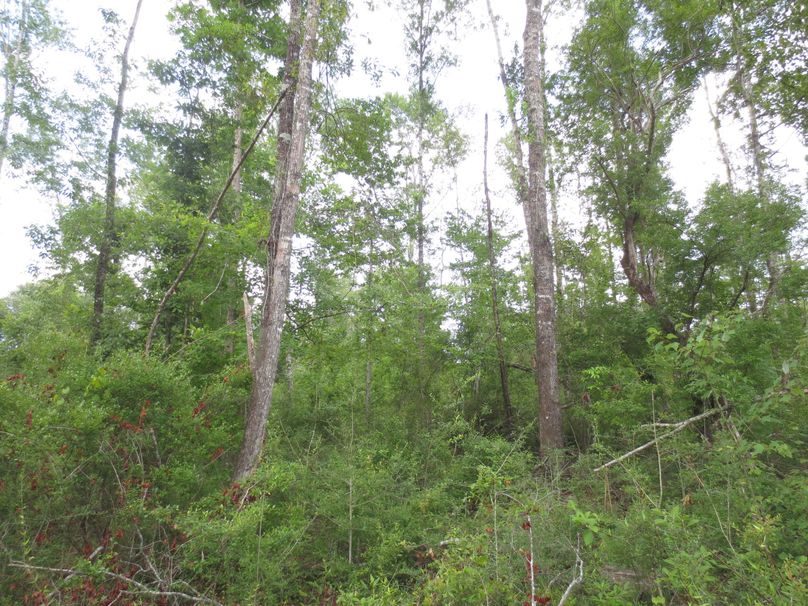 E0A68932-70D3-4F2B-81EE-A1321F67D415