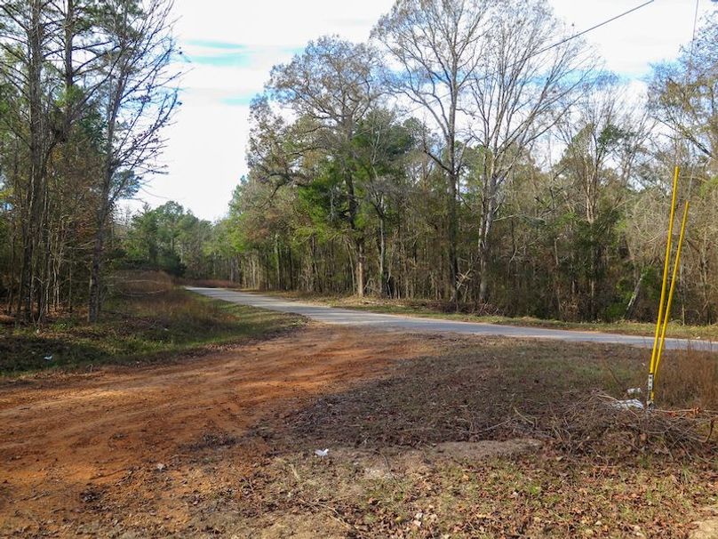 Lauderdale Co - 74 - Gillentine-07