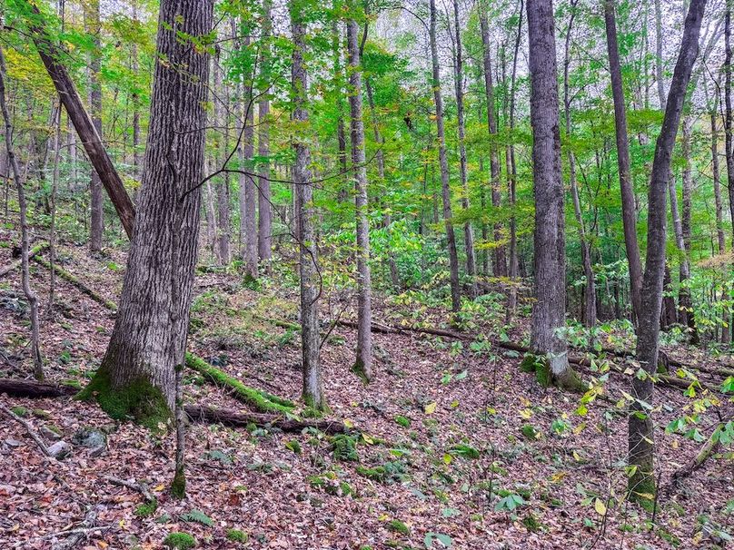 Webster, WV 13.8 AC Heldreth-12