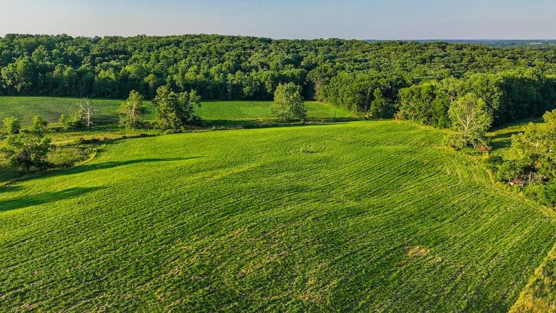 dji_fly_20250705_195548_0427_1751759910086_photo