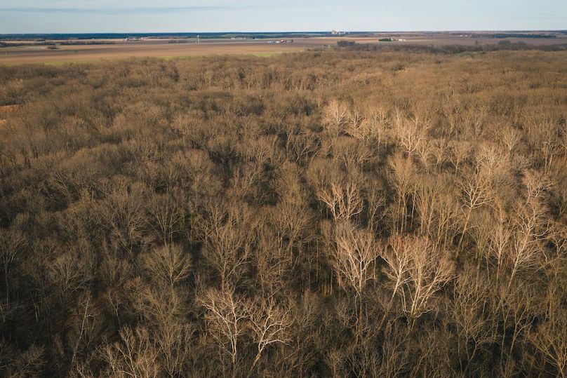 DJI_20260324175345_0083_D-HDR