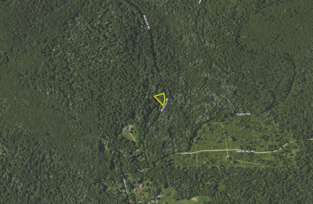 Screen Shot 2024-02-15 at 11.18.52 AM