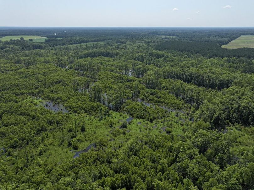 DJI_20250627103044_0115_D