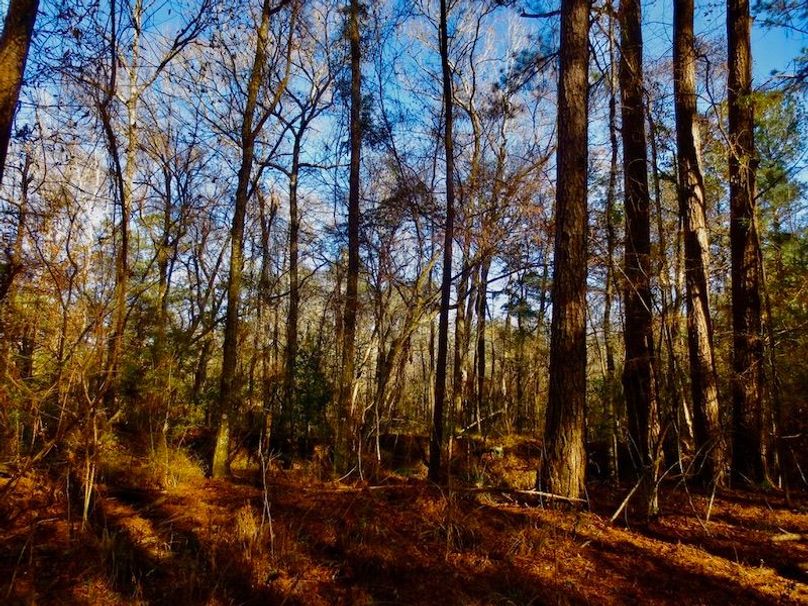 786D963B-D03E-43C2-995F-F9A5521A96CC_1_105_c