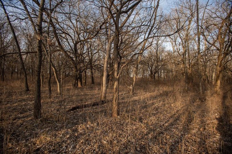 PAGE CO IA 130+_-_45