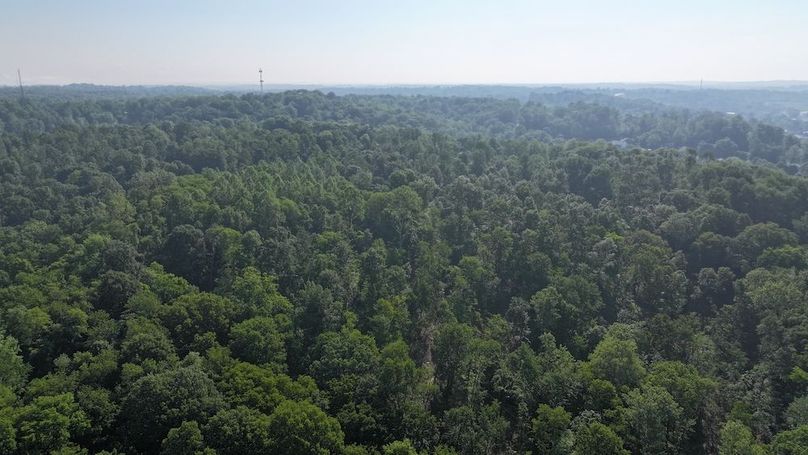 dji_fly_20240516_093620_0023_1715866833262_photo