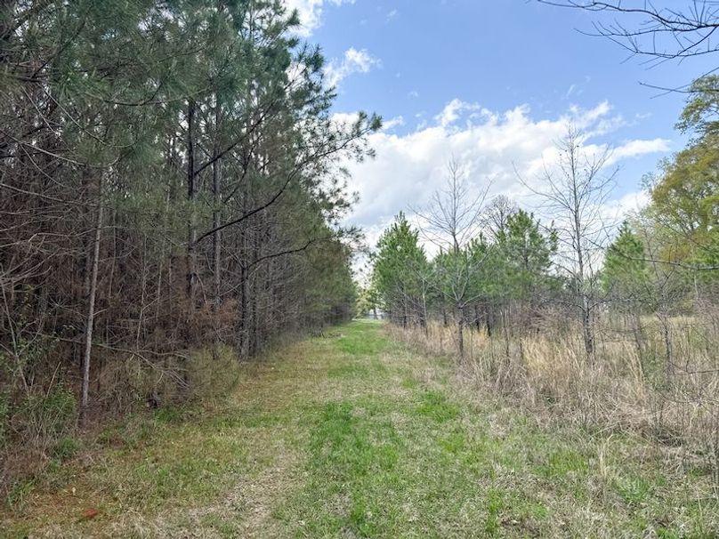 Clay 140 Gilreath-19