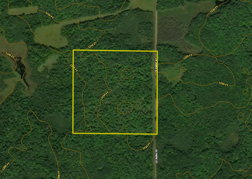 Screen Shot 2023-08-09 at 11.51.13 AM