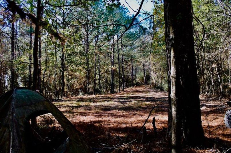 9AD52E13-1F29-46F3-8742-BB50BA20DEB2_1_105_c