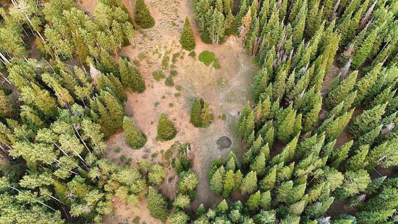 DJI_20250726174321_0144_D