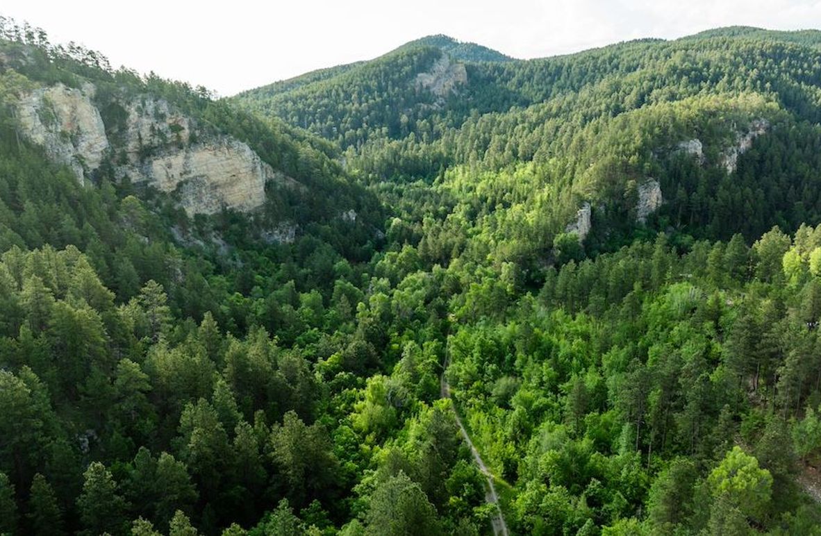 Copy of Lawrence SD 50 Featured_ProPhoto-20