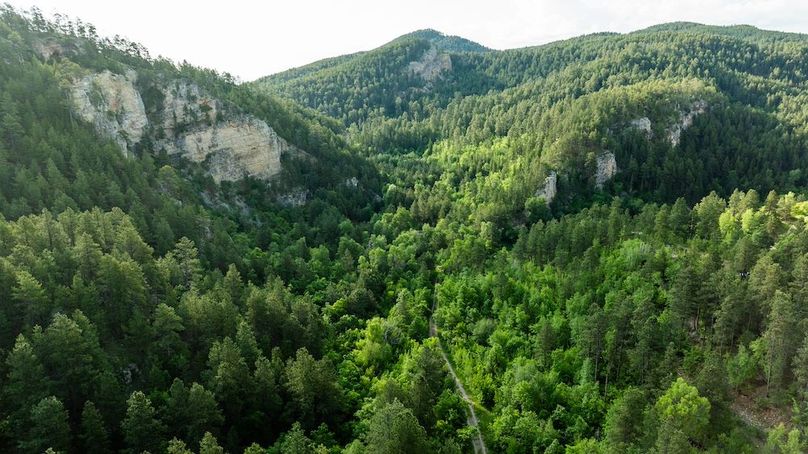 Copy of Lawrence SD 50 Featured_ProPhoto-20