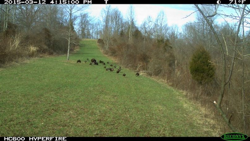 2015-03-12 16-15-00 T