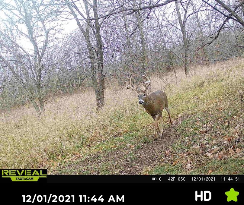 Screenshot 2023-07-12 at 1.38.11 PM