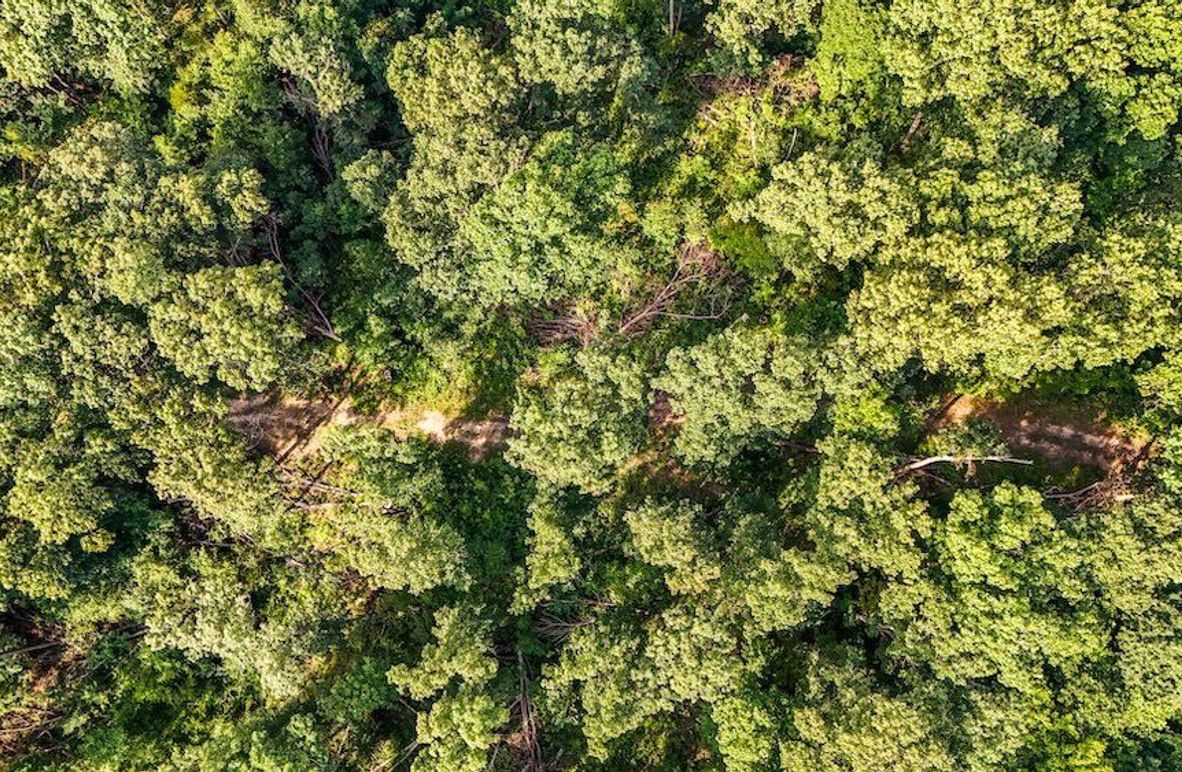 DJI_20250729075930_0090_D