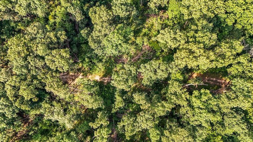 DJI_20250729075930_0090_D