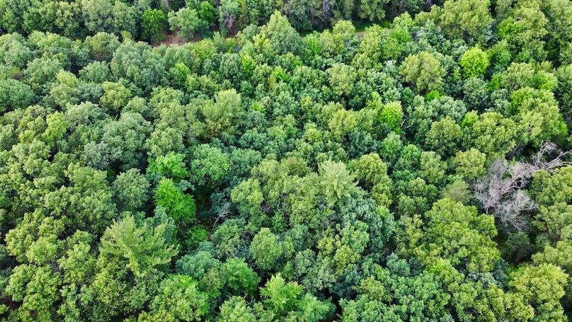 dji_fly_20250624_200422_916_1750813558127_photo_optimized