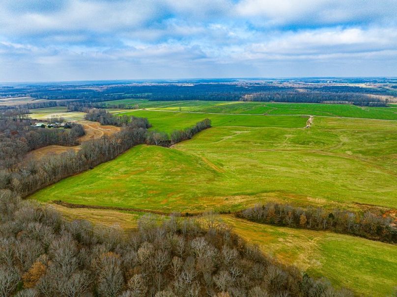 Henry 137 Miller-05-2