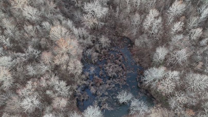 311 new20260217_0461