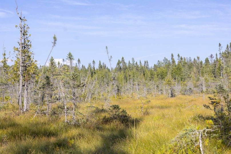 Mackinac 320 Copenhaver-81