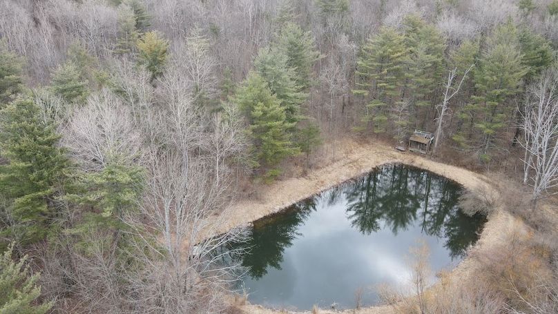 16 dji_fly_20250325_113000_946_1742916613544_photo