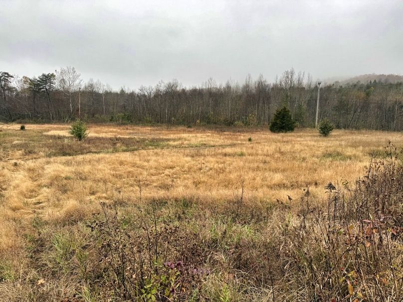 024 more nice bottomland fields-2