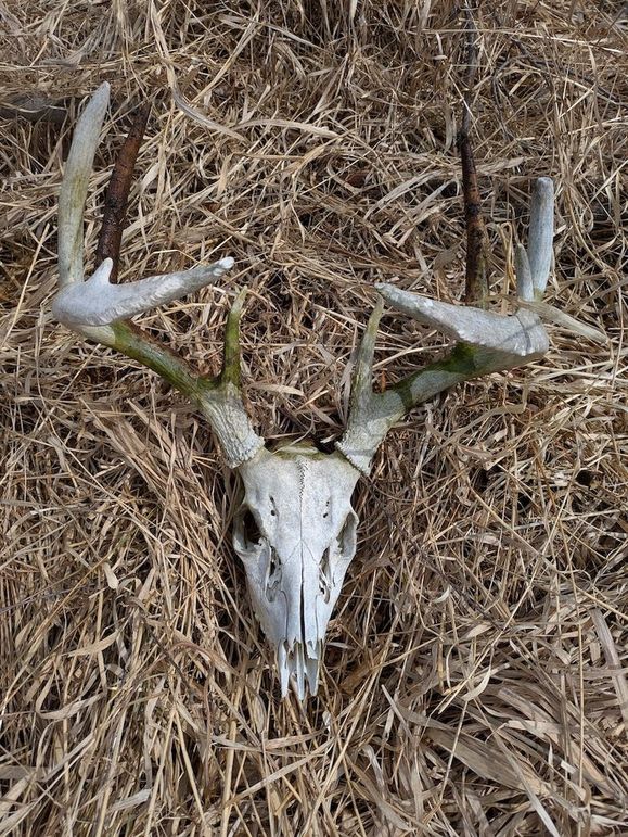 PXL_20250404_162440512