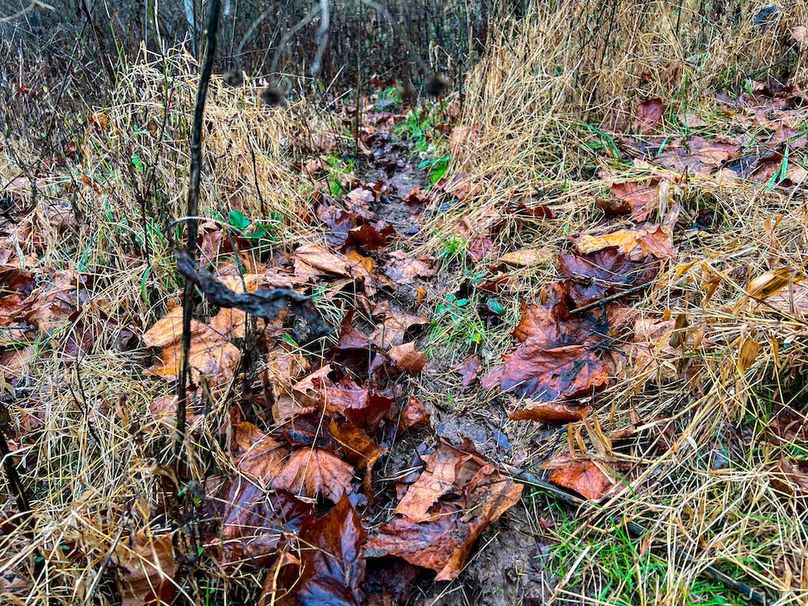 Calhoun, WV 225.69 AC Duffield-28