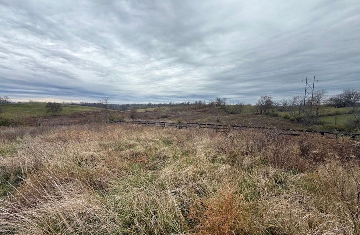 002 view of the open field area from behind the barn location