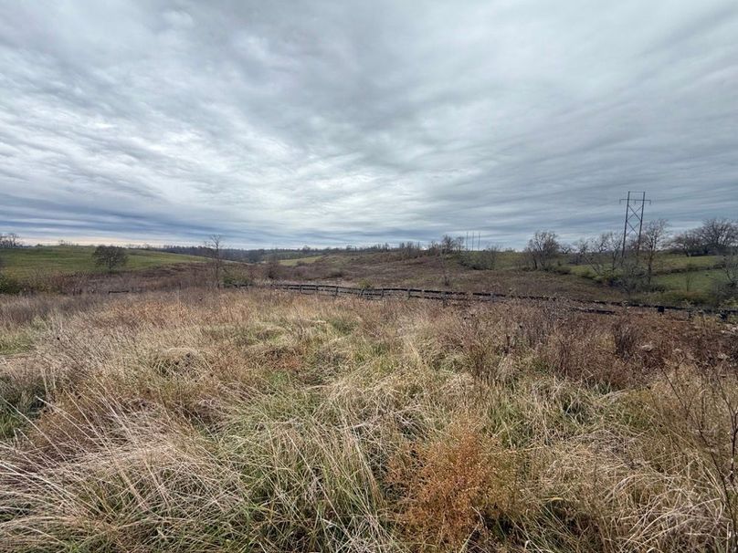 002 view of the open field area from behind the barn location