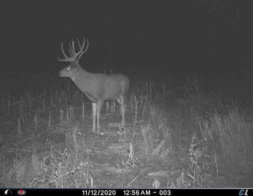 FB_IMG_1605425753104