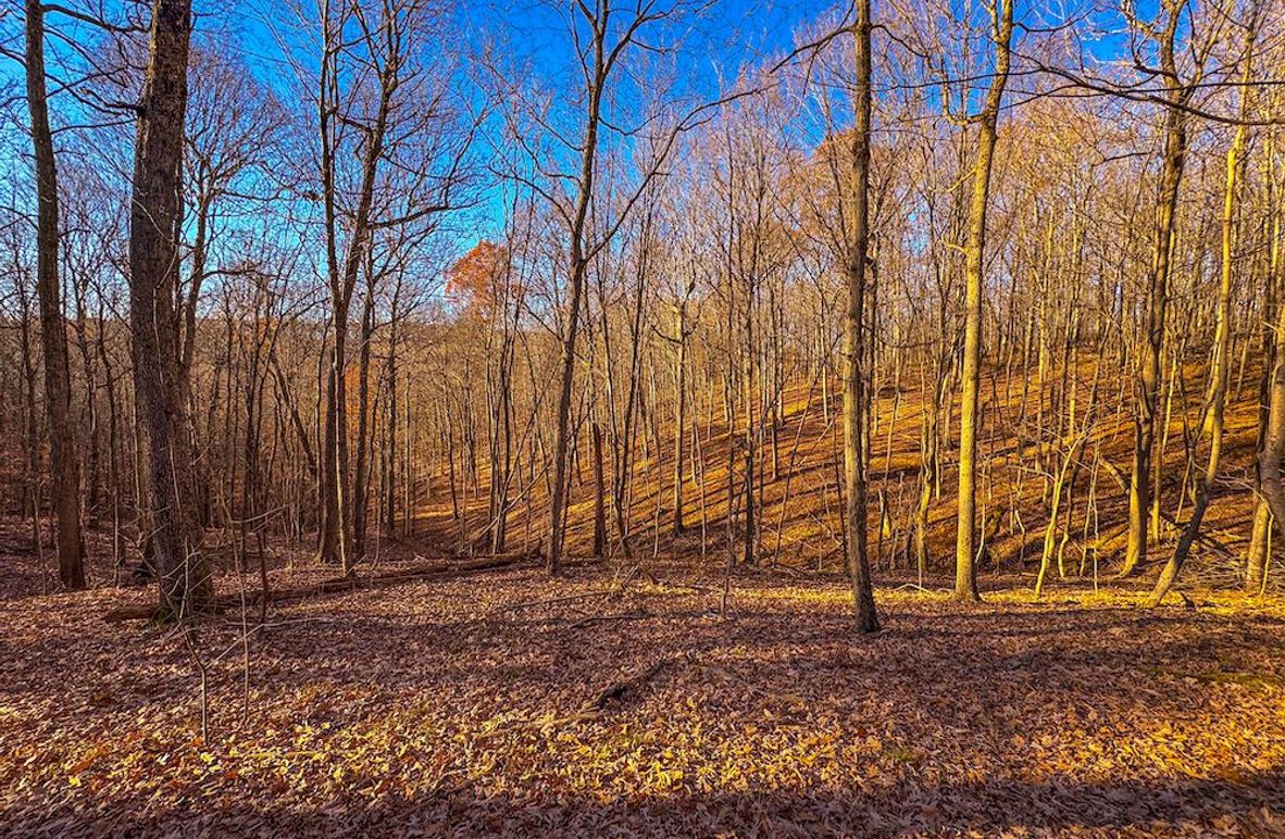 Pleasants_Wood 169.97 AC Cokeley-02