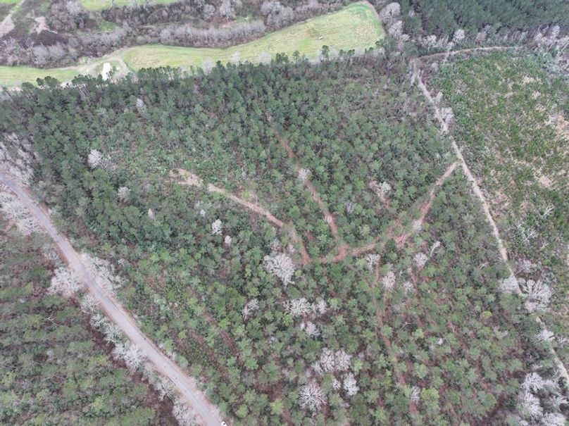 dji_fly_20260217_132520_0110_1771436919444_photo