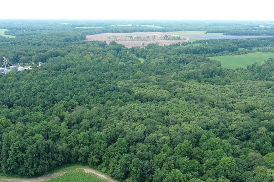 Copy of DJI_0534