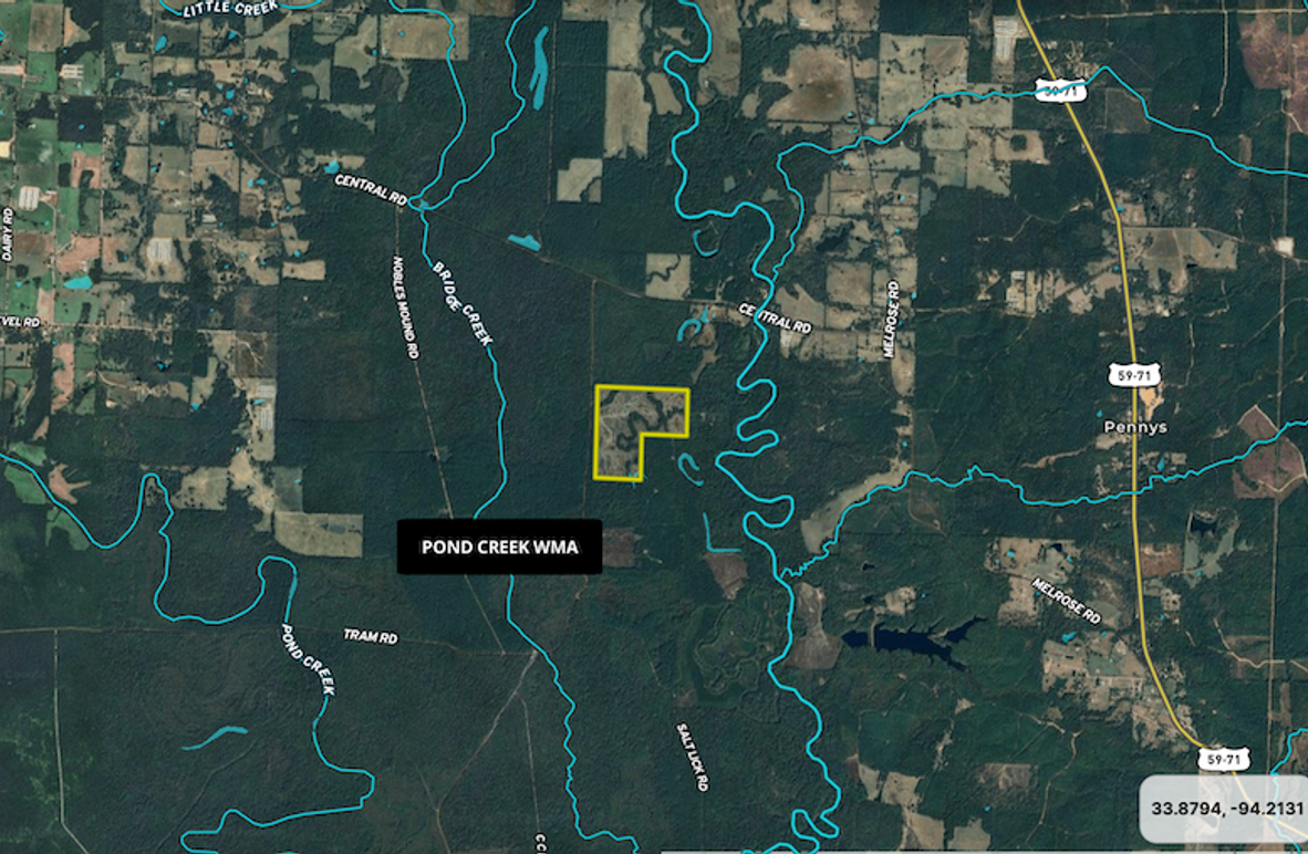 Screenshot 2025-09-19 at 8.04.38 AM