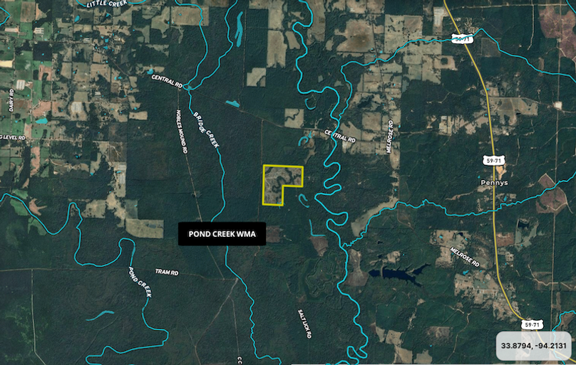 Screenshot 2025-09-19 at 8.04.38 AM