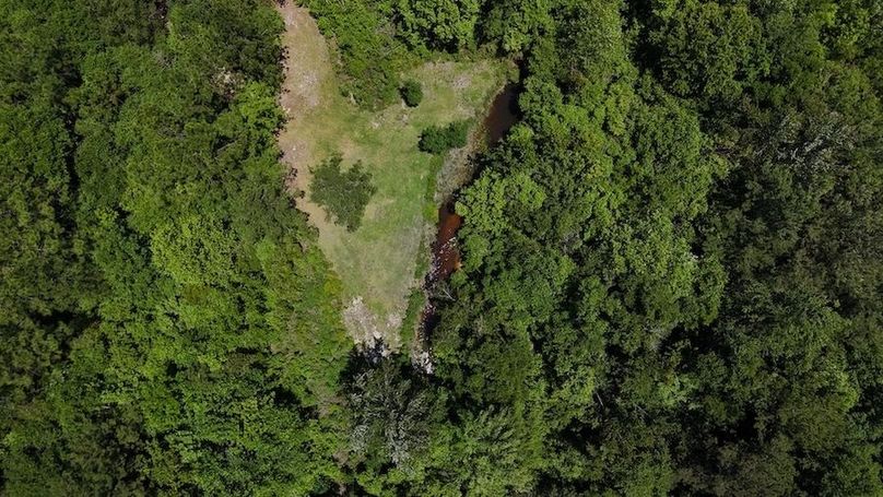 DJI_20240516124016_0011_D