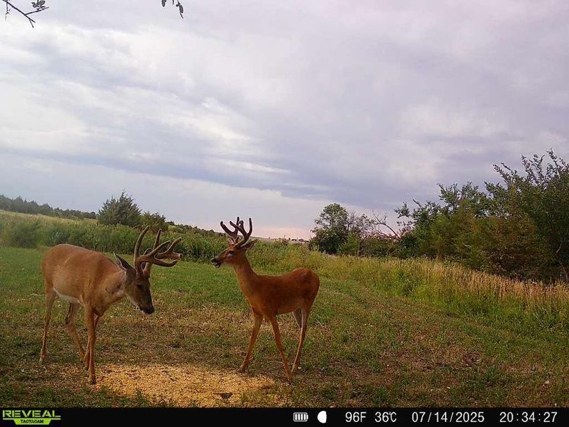 Copy of 868032069649766-100-2-07142025203426-W1002204