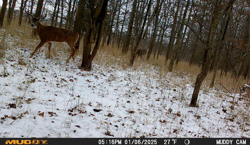 Screen Shot 2025-07-16 at 12.46.51 AM