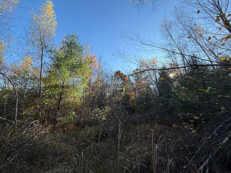 Oswego_26.28_Koehler Photo 15