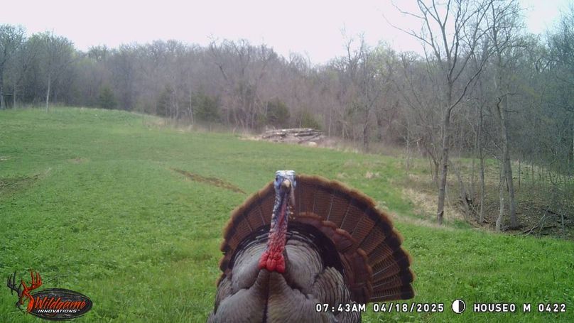 TRAIL CAM 10