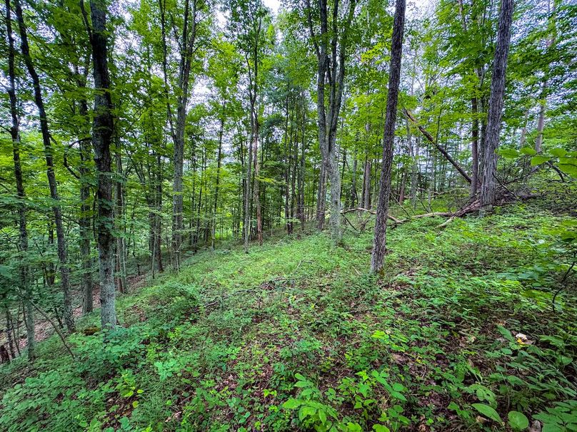 Tyler, WV 46 Lemasters -27