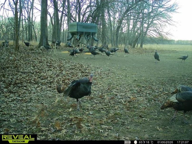 860322065946383-100-3-01062026172126-W1018346